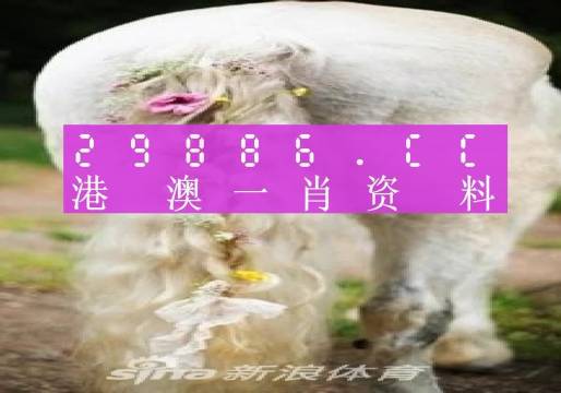 今晚必中一肖一码四不像,确保问题说明_网页版58.736