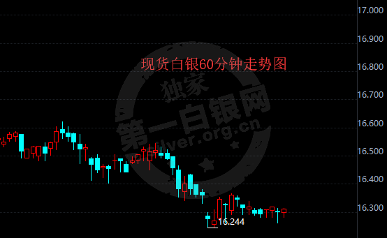 白银最新持仓状况，市场趋势分析与投资建议探讨